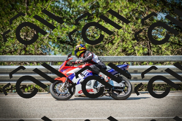 202507191033-DSC02871_c1_