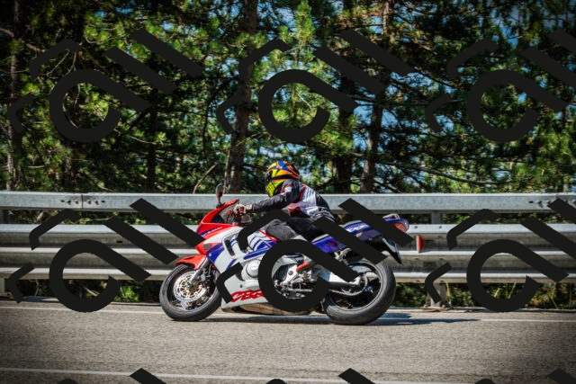 202507191033-DSC02872_c1_