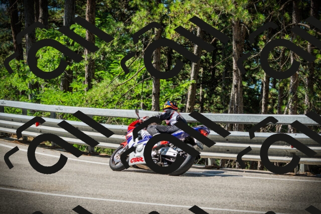 202507191033-DSC02873_c1_