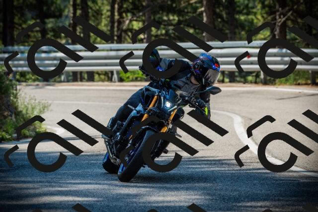 202507191034-DSC02875_c1_