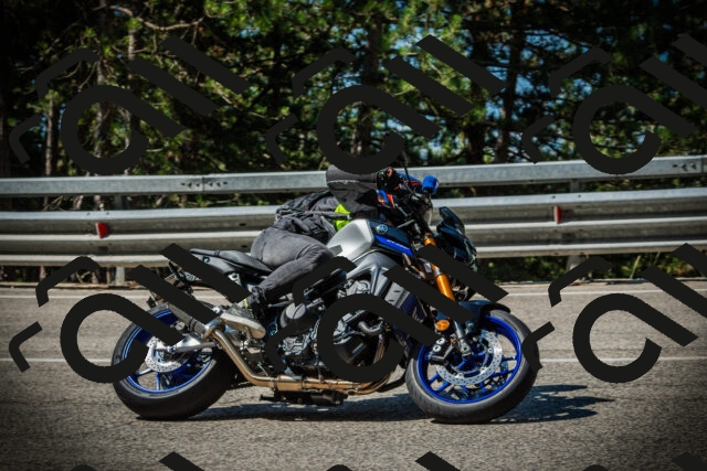 202507191034-DSC02876_c1_