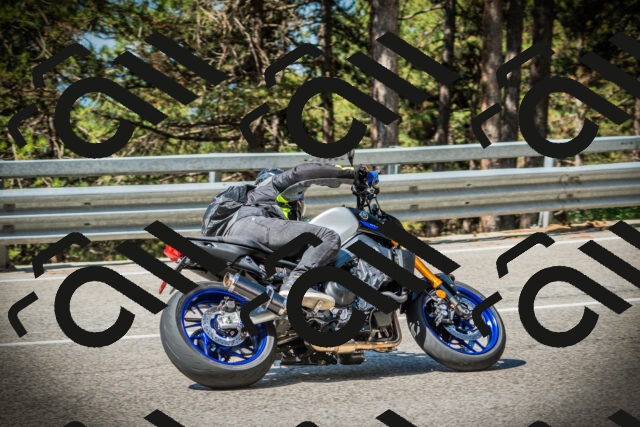 202507191034-DSC02877_c1_