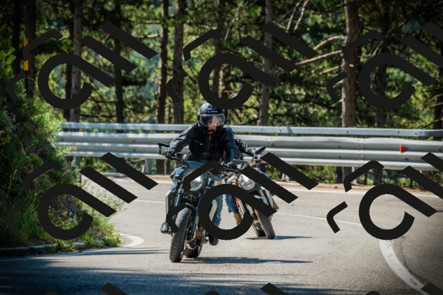 202507191037-DSC02883_c1_