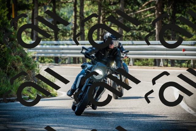 202507191037-DSC02884_c1_