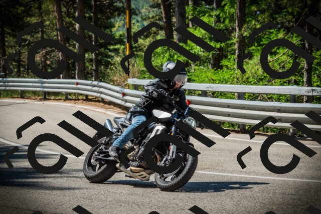 202507191037-DSC02885_c1_