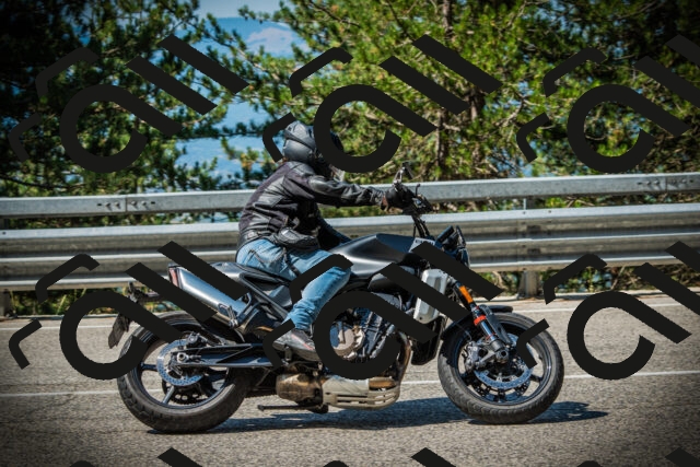 202507191037-DSC02886_c1_