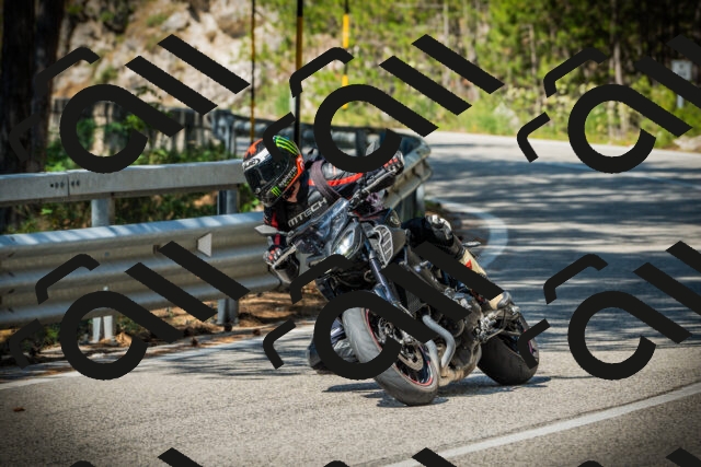 202507191037-DSC02890_c1_