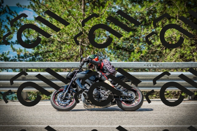 202507191037-DSC02891_c1_