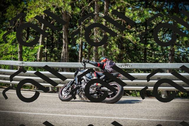 202507191037-DSC02892_c1_