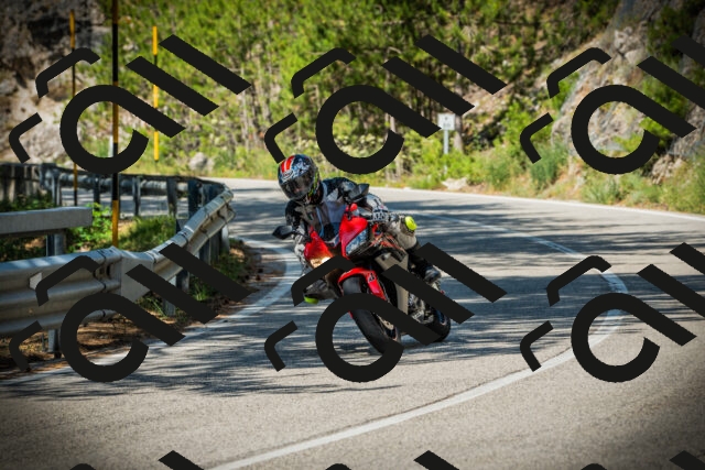 202507191037-DSC02894_c1_