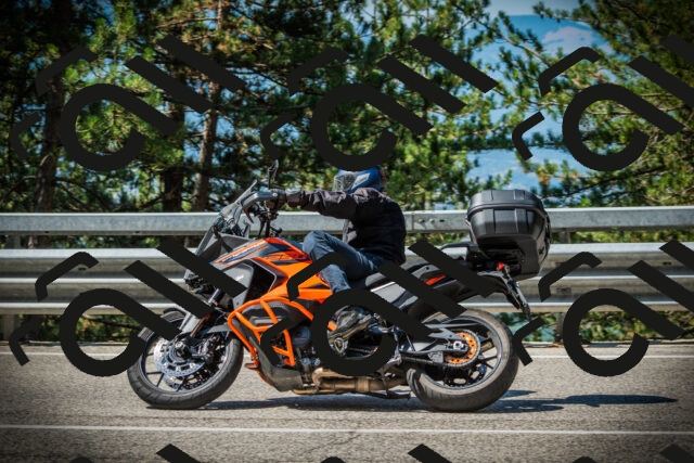 202507191044-DSC02907_c1_