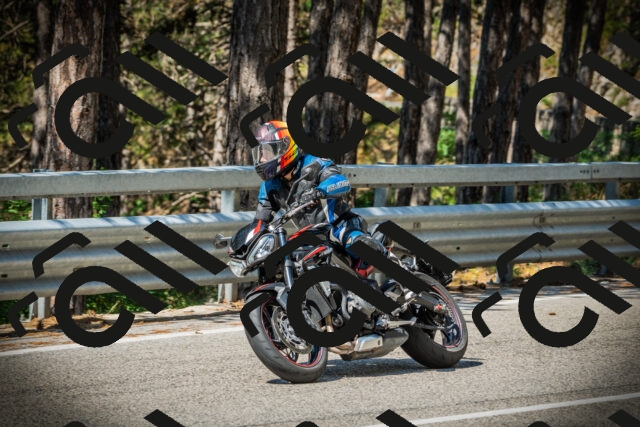 202507191044-DSC02908_c1_