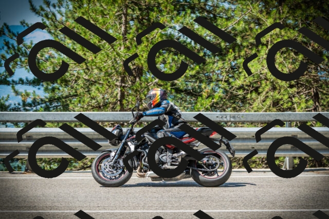 202507191044-DSC02909_c1_