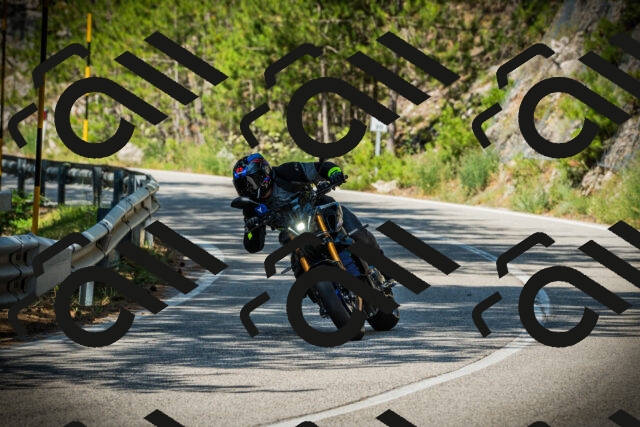 202507191045-DSC02912_c1_