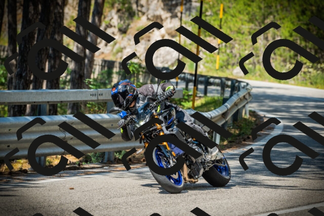 202507191045-DSC02913_c1_