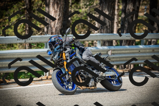 202507191045-DSC02914_c1_