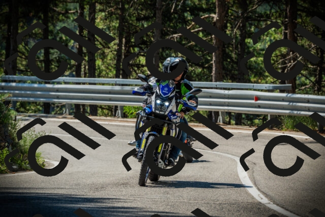 202507191046-DSC02917_c1_