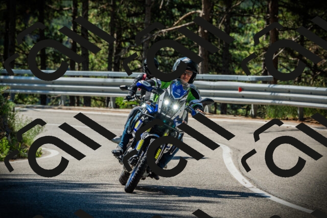 202507191046-DSC02918_c1_