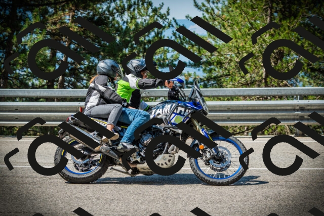 202507191046-DSC02920_c1_