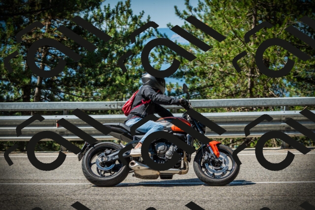 202507191046-DSC02921_c1_