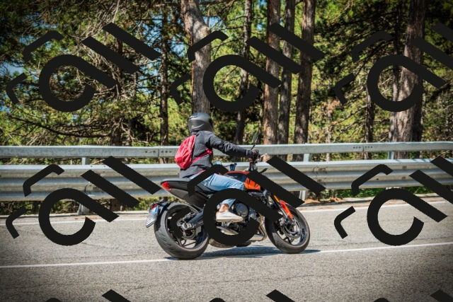 202507191046-DSC02922_c1_