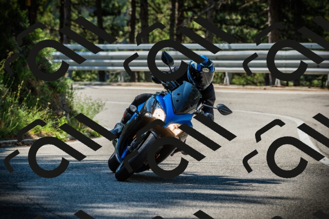 202507191046-DSC02934_c1_