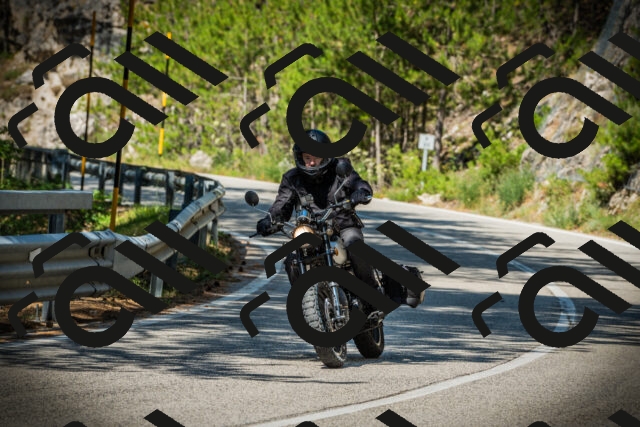 202507191047-DSC02938_c1_