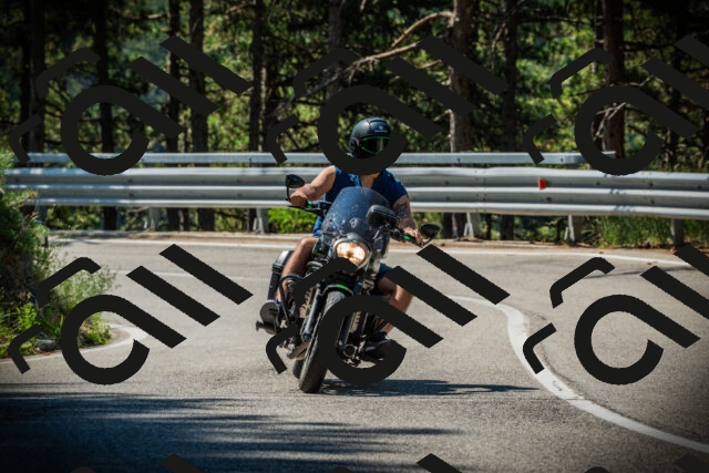 202507191047-DSC02944_c1_