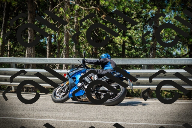 202507191048-DSC02952_c1_