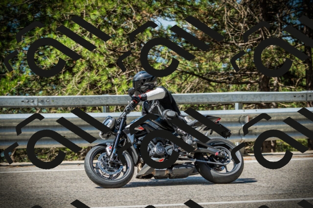 202507191049-DSC02965_c1_