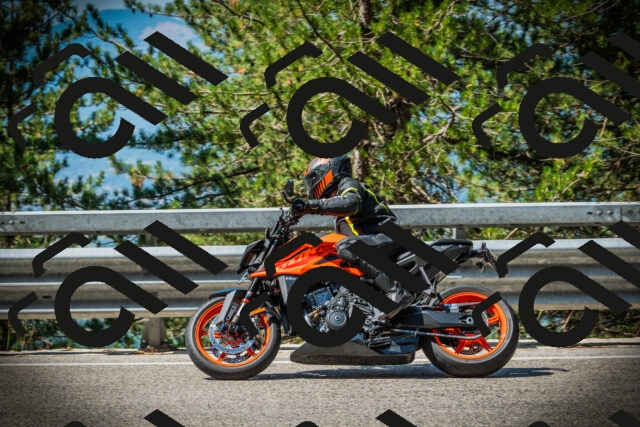 202507191049-DSC02966_c1_