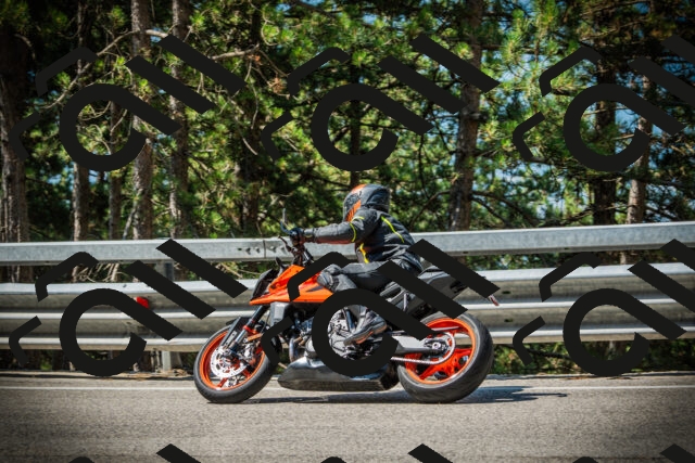 202507191049-DSC02967_c1_