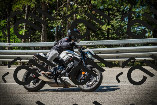 202507191050-DSC02976_c1_