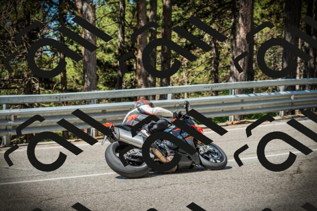 202507191050-DSC02981_c1_