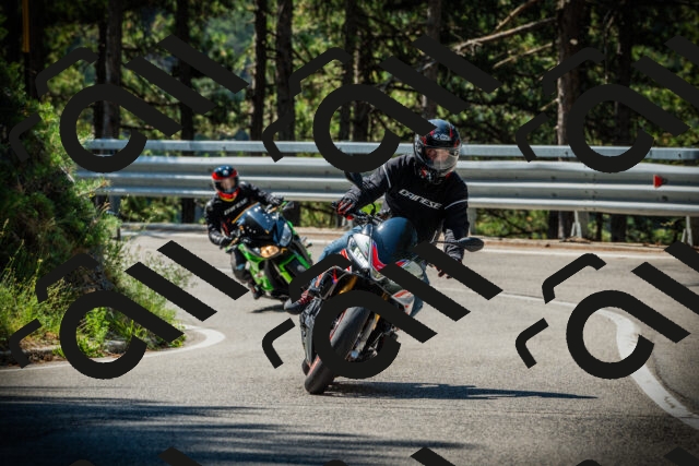 202507191050-DSC02989_c1_