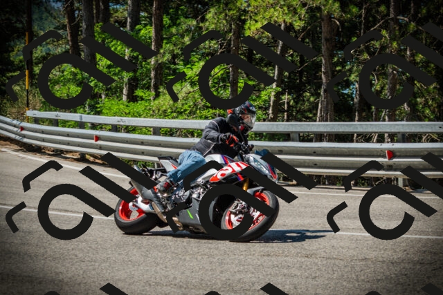 202507191050-DSC02990_c1_