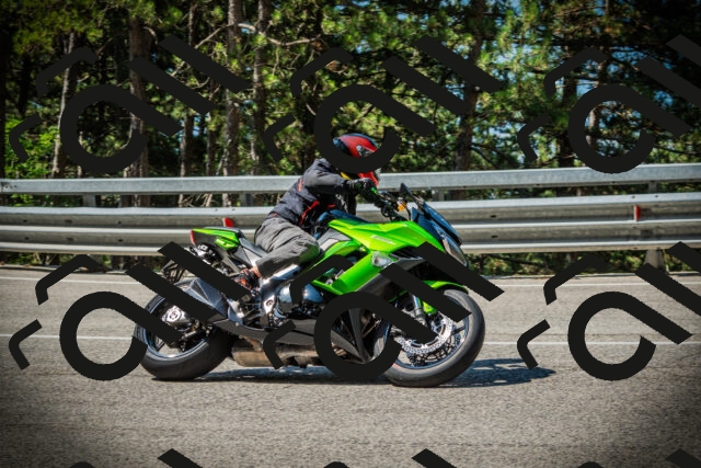 202507191050-DSC02992_c1_