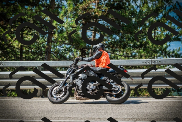 202507191051-DSC03000_c1_