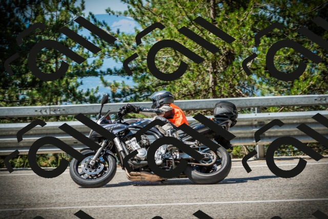 202507191051-DSC03001_c1_