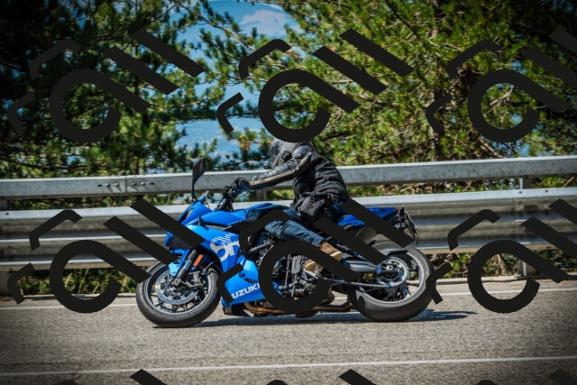 202507191051-DSC03003_c1_