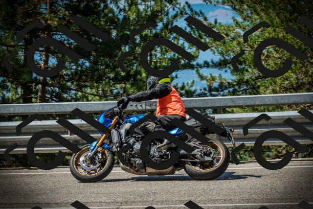 202507191051-DSC03004_c1_