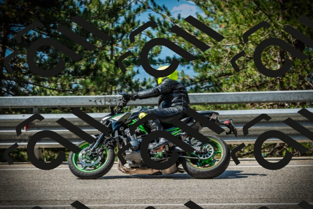 202507191051-DSC03011_c1_