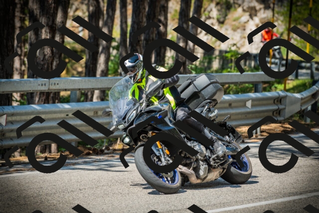 202507191051-DSC03016_c1_