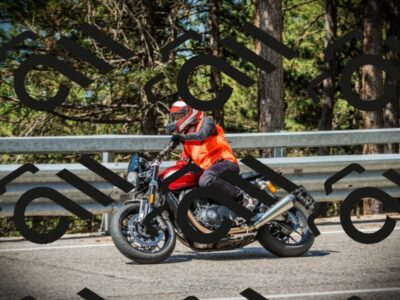 202507191051-DSC03018_c1_