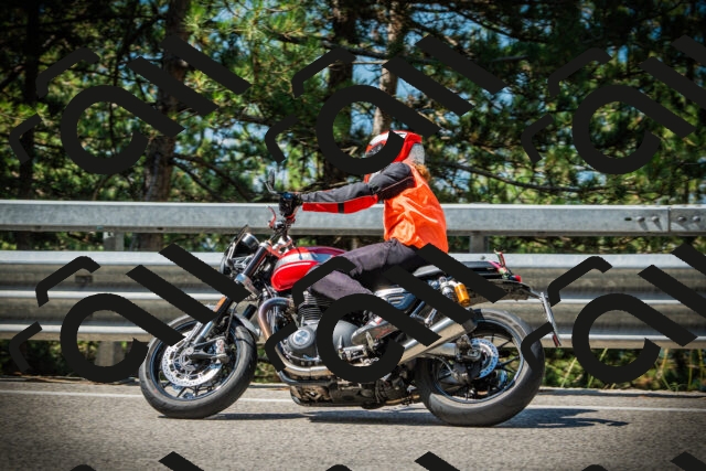 202507191051-DSC03019_c1_