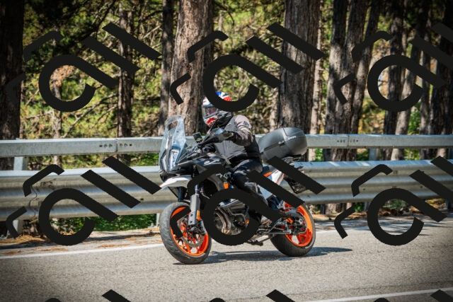 202507191051-DSC03026_c1_