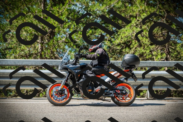 202507191051-DSC03027_c1_