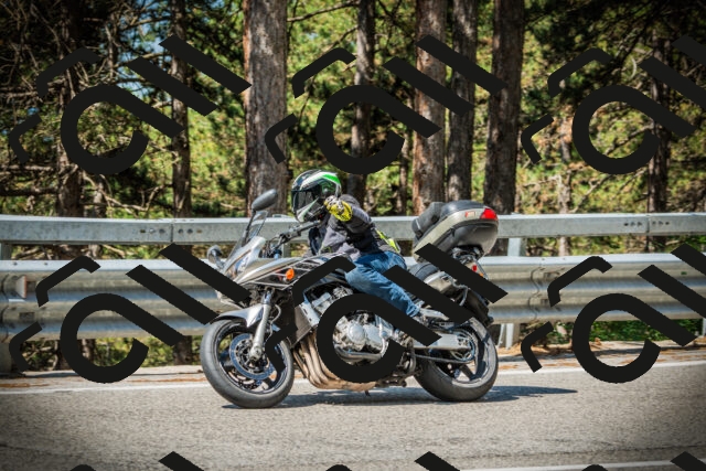 202507191052-DSC03032_c1_