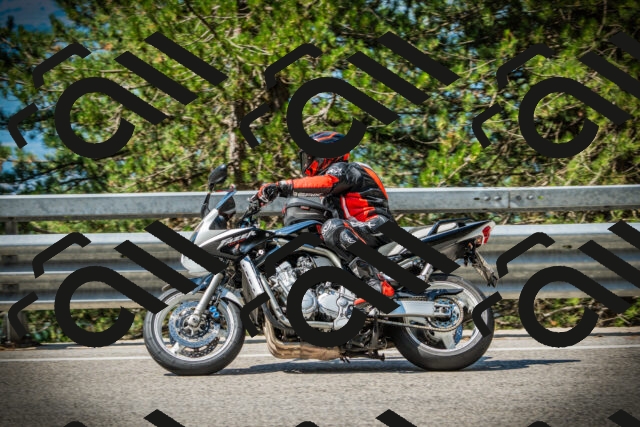 202507191052-DSC03037_c1_