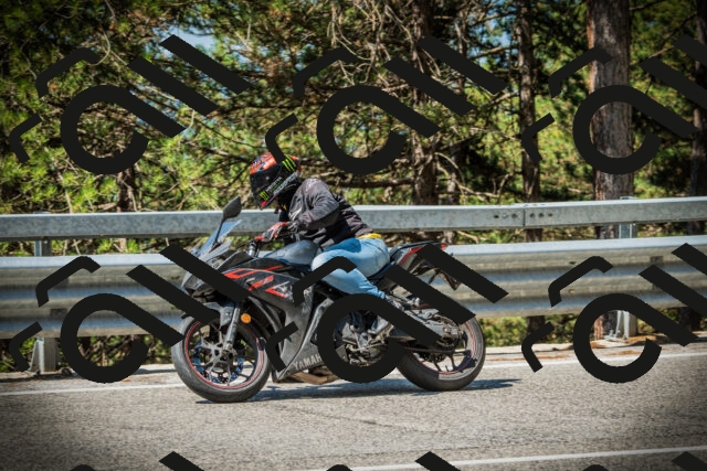 202507191052-DSC03039_c1_